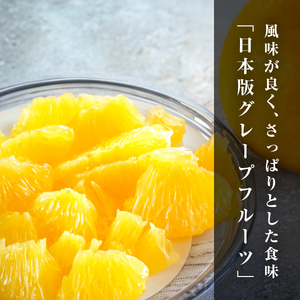 河内晩柑5kg【訳あり】【A31-50】【配送不可地域：離島】【1613967】 YWTAC039