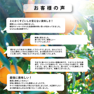 【愛媛名産】玉宝ブラッドオレンジ(タロッコ)　10kg【H64-67】【1621809】 YWTY056