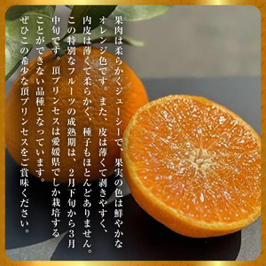 【紅プリンセス同品種】愛媛県産 新品種柑橘 愛果48号【甘平×まどんな】2kg【D31-56】【1660048】 YWTAC045