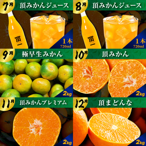 【発送月固定定期便】毎月届く!みかんのカレンダー便　～12ヶ月の旬を旅する～【H31-62】全12回【配送不可地域：離島】【4074244】 YWTAC051