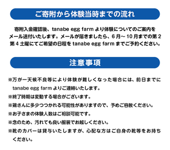 養鶏場で楽しむ鶏さんふれあい体験（平飼い放牧卵20個付き）