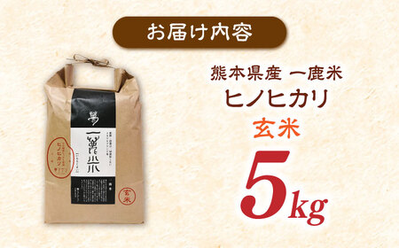 【天日塩を使用】一鹿米 ヒノヒカリ 米 玄米5kg 【株式会社 夢アグリ】[ZCL029]