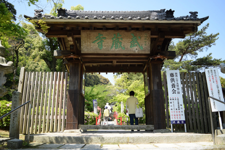 手羽先餃子 博多とんこつ味 10本 博多しょうゆ味 10本 計 20本 [大雅 福岡県 筑紫野市 21761456]
