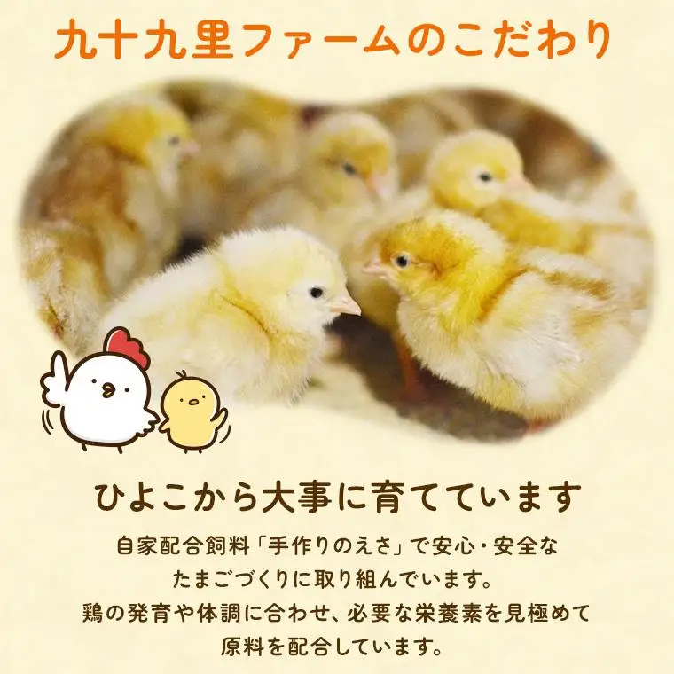 【定期便11回】九十九里ファームこだわりたまご贈答用 30個 ～あおい海・みどりの里～《赤玉》 たまご 卵 玉子 タマゴ 赤玉 卵かけご飯 新鮮 旨み 甘み 贈答用 贈答 ギフト 贈り物 千葉県 匝瑳市