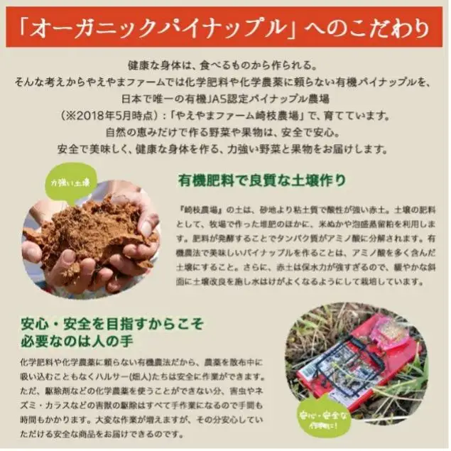 訳あり 石垣島産 有機パイナップル 約2.8kg 2～5玉