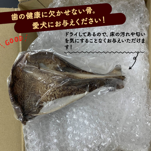 鹿ドライ肩甲骨Lサイズ（23㎝以上）6本 セット ペット用品 ペットグッズ ペットフード