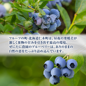 先行予約【朝採り】当日冷凍「北海道ニキブルーベリー」2kg（500g×4）サイズ混載 果物 くだもの 冷凍 フルーツ ブルーベリー 北海道 仁木［ぜにたに農園］