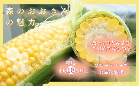 森町産“森のおおきみ”平均糖度18度超え・朝採れスイートコーン（たっぷり大容量） とうもろこし スイートコーン 森のおおきみ 朝採れ 新鮮 大容量 フルーティー 上品 詰め合わせ 野菜 静岡県 森町