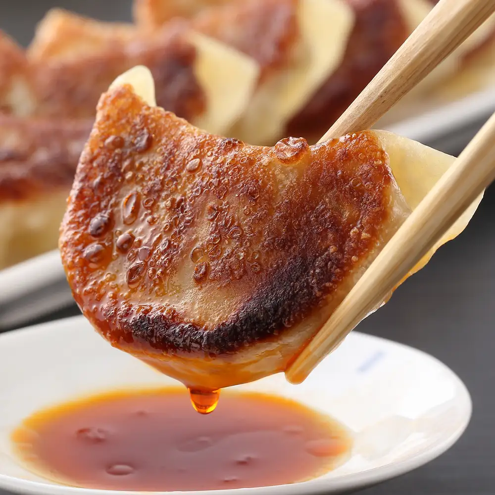 北海道の食材たっぷり！手作り餃子１０袋セット＜スリーエス＞
