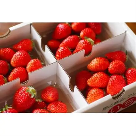 【2026年発送予定】長野県産 いちご ほしうらら 6パック【約1.2kg】【配送不可地域：離島】【1705154】