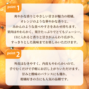 はれひめ 約3kg 【2026年12月下旬頃から順次発送】 | 晴姫 ハレヒメ 柑橘 はれひめ 蜜柑 ミカン mikan フルーツ 果物 みかん くだもの デザート 産地直送 数量限定 国産 送料無料 愛媛県 松山市【KNN008】