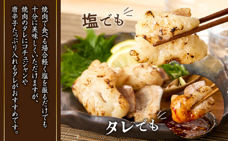 カット ホルモン K137-002 肉 牛 牛肉 冷凍