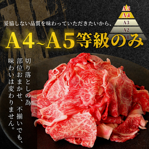【5営業日以内発送】飛騨牛 切り落とし 250g すき焼き 牛丼 炒め物 訳あり 肉のひぐち