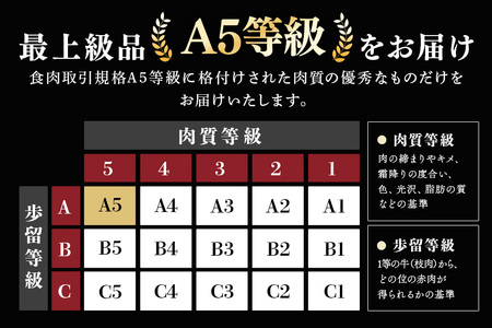 飛騨牛 A5等級【冷蔵配送】プレミアムセット 豪華14品目 着日指定可 飛騨牛 焼豚