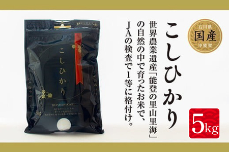 米 令和7年産 中能登町産 能登米コシヒカリ 5kg [道の駅織姫の里なかのと 石川県 中能登町 nk17amw270066]