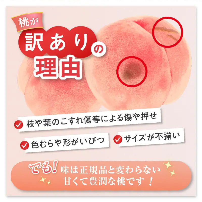 【訳あり】旬の採れたて桃 1.5kg以上 4～7玉【2026年発送】（HO）A04-1410 桃 フルーツ
