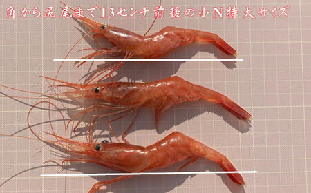 8-026-001　冷凍甘えび・ボタンエビセット 各500g