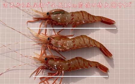 8-026-002　冷凍ボタンエビ・しまえびセット 各500g