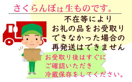 8-034-003　サトケンさんのさくらんぼ 南陽（2L）約600g