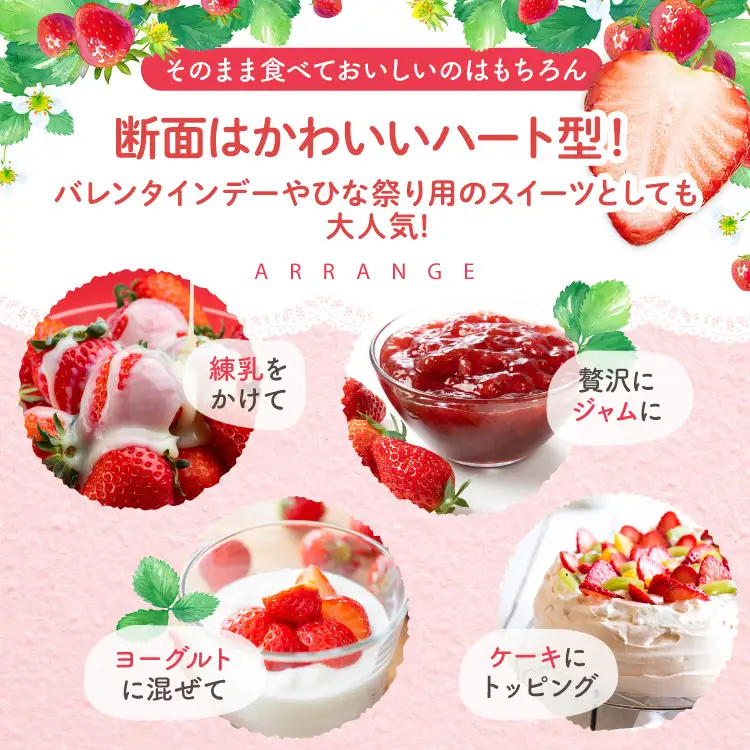 【栃木県共通返礼品】【先行予約】【定期2回】とちあいか 2900g | 栃木県 那珂川町 
