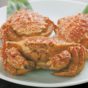 《訳あり》青森県 陸奥湾産 活トゲクリガニ(オス) 約1kg (3～7杯) 【琉宝丸】 漁師直送 かに カニ 蟹 魚介 青森 青森県 平内町 東北 むつ湾  F21J-235