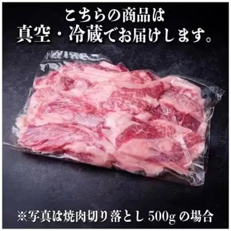 【2ヵ月毎定期便】飛騨牛 焼肉切り落とし 約600g(約300g×2)タレ付き 訳あり全3回【配送不可地域：離島】【4084209】