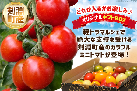 剣淵町産 カラフルミニトマト 1kg [けんぶちVIVAマルシェ 北海道 剣淵町 14656380]