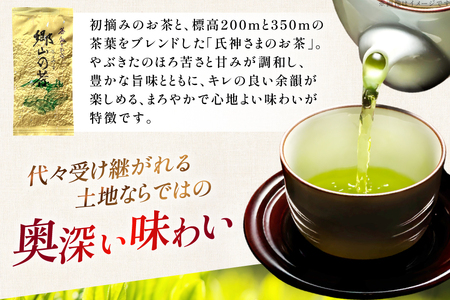 茶 茶葉 緑茶 九州 そのぎ茶 「郷山の茶」 80g×3袋入り [東坂茶園 長崎県 東彼杵町 hs42bag690004]