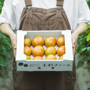 【先行予約/季節限定】『特選』糖度8以上！北海道奈井江町産 厳選トマト「桃太郎ファイト」約3.8kg 24~32玉