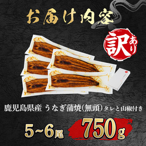 【0184359a】【緊急支援品】＜訳あり＞鰻の蒲焼き(無頭)(5～6尾・計約750g・タレ、山椒付) うなぎ ウナギ 鰻 国産 蒲焼 蒲焼き たれ 鹿児島 ふるさと 人気 支援 【アクアおおすみ】