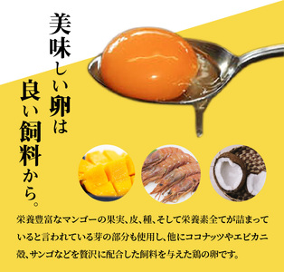 S038-007A_AMAKUSAロール　タマンゴの宝石 / ケーキ ロールケーキ 生クリーム こだわりケーキ