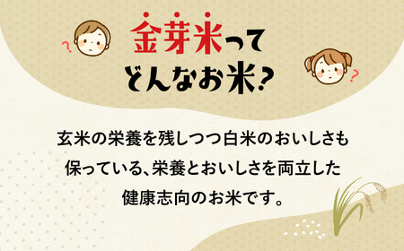 【定期便12回】令和7年宮城県産金芽米 ひとめぼれ 5㎏×12回
