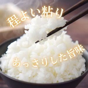 愛媛県産ひのひかり5kg
