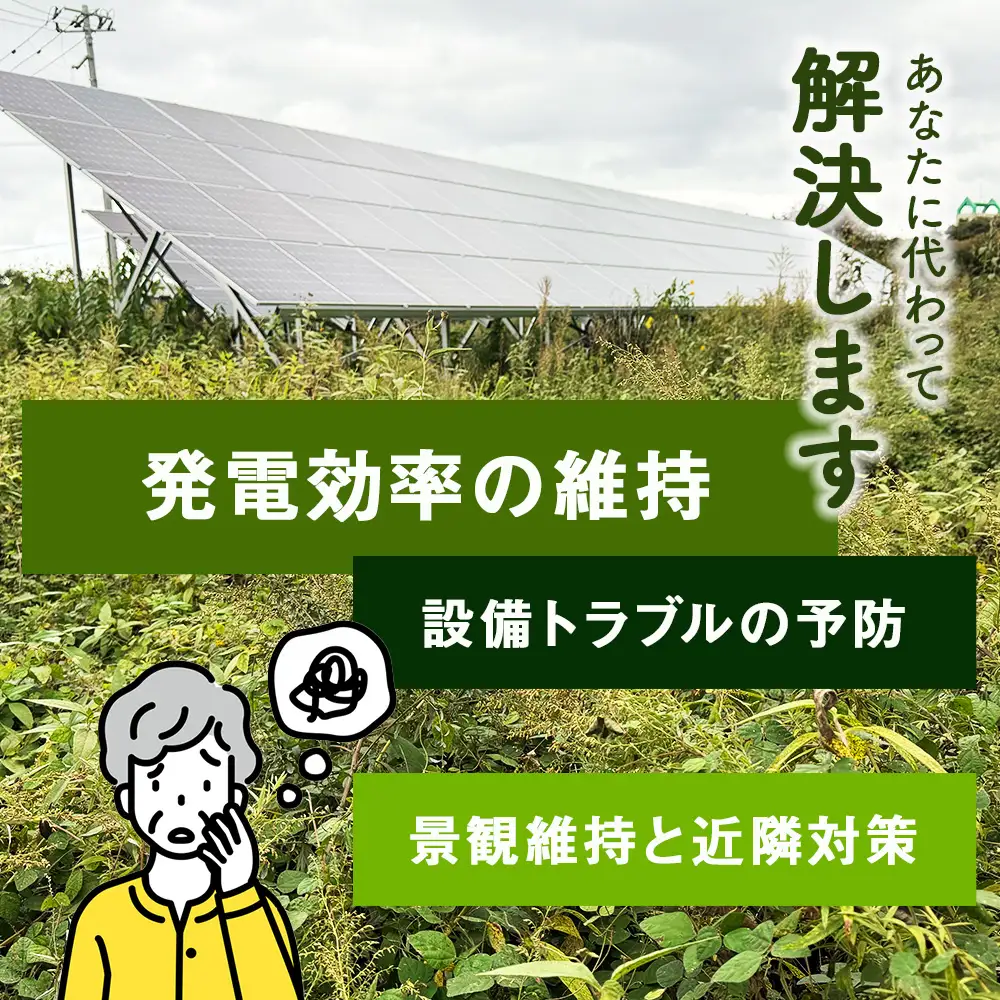 太陽光発電所 除草作業（低圧）