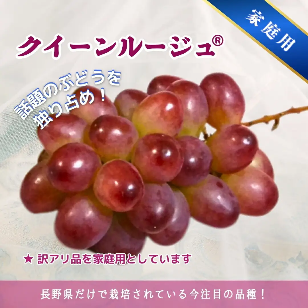 【2026年先行予約】家庭用 シャインマスカット＆クイーンルージュ® 約2kg(3~5房)｜ シャインマスカット