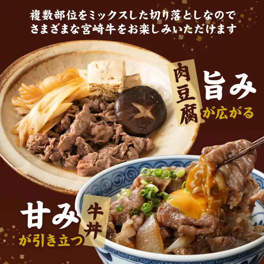 宮崎牛切り落とし1kg(500g×2パック)〔14-N4-004-1kg〕(都城市) 宮崎牛 黒毛和牛 A4～A5等級 切り落とし 炒め物