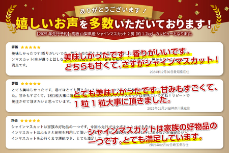 ※山梨県取りに来ていただいた方限定価格！ シャインマスカット 【2026年発送】高級 山梨県産 シャインマスカット