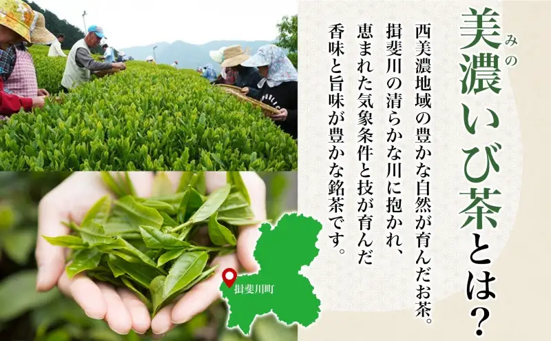いび茶の里 揖斐抹茶 2種 セット 各30g 1缶 お点前用 ラテ用 抹茶 お茶 茶葉 粉末茶 粉末緑茶 日本茶 お菓子作り 製菓 パウダー 抹茶ラテ 抹茶オレ 茶道 スイーツ 飲料 国産 日本産 グリーンティ お取り寄せ ご当地 送料無料 岐阜県 揖斐川町