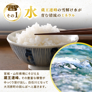 ひとめぼれ 定期便6回/5kg×1袋 令和8年産 新米 先行予約 宮城県産 米 精米 白米