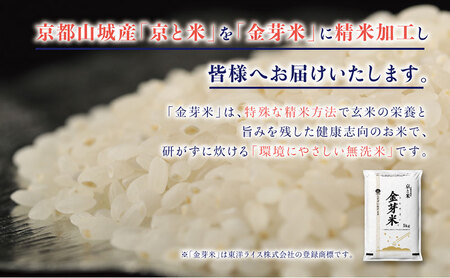 BG無洗米 京都山城産 京と米 金芽米 10kg R7年度産 ヒノヒカリ お米 米 ごはん おにぎり おいしい お弁当 健康 玄米の栄養 無洗米 節水 時短 東洋ライス 京都府 京田辺市 ヒノヒカリ キヌムスメ