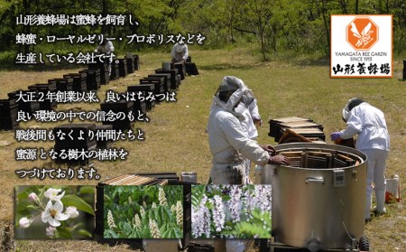 純粋蜂蜜 そば蜜 500g FZ20-929