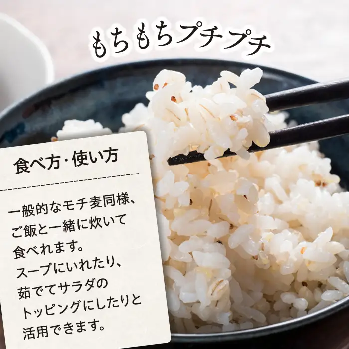 AB1-010 千葉県長生村産　自然栽培　ダイシモチ麦（六条大麦）300g×8袋