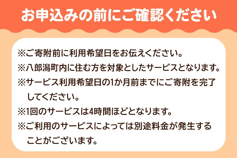 付き添い 看護師による通院・外出付き添いサービス 1回 約4時間 レターパックライトでお届け 八郎潟