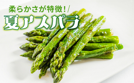 【訳あり】【星のアスパラ】グリーンアスパラガス 約1kg 【サイズ不揃い L～S】 / 訳アリ 規格外 産地直送 アスパラ あすぱら あすぱらがす 採れたて 新鮮 旬 産地直送 / 南島原市 / ほしのYA[SEY021]