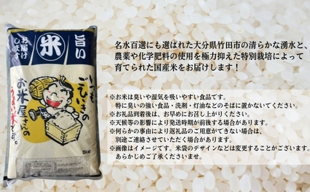 【 人気の2銘柄を食べ比べ！ 】 厳選国産米 2種セット 【 ヒノヒカリ × コシヒカリ 】 （ 各5kg 計10kg ）