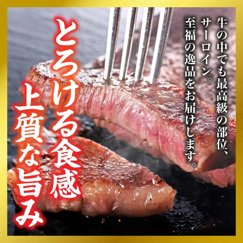 【和牛枝肉共励会牛】(A5)宮崎牛ヒレ・サーロインステーキセット_AF-25-003_(都城市) 宮崎県 宮崎牛 ヒレ サーロイン ステーキ 真空 品評会出展牛 特別セット