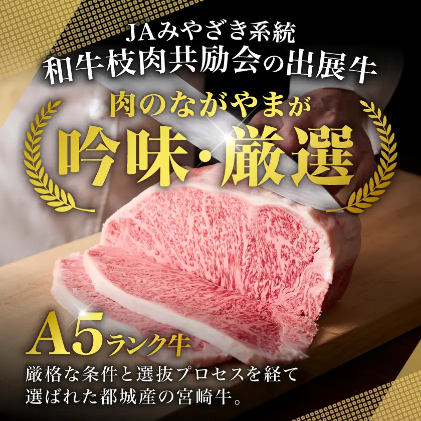 【和牛枝肉共励会牛】(A5)宮崎牛うでバラエティセット〔21-25-010〕_(都城市) 宮崎県 宮崎牛 ウデ 肩 ミスジ ステーキ 焼肉 切り落とし 真空 品評会出展牛 特別セット