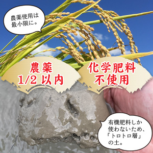 ゆうだい21 【3ヶ月定期】先行予約 令和8年産 新米 減農薬 化学肥料不使用 5kg ×3回 ゆうだい21