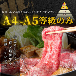 【5営業日以内発送】飛騨牛 もも・かた肉 600g(300g×2p) 赤身 すき焼き しゃぶしゃぶ 肉のひぐち