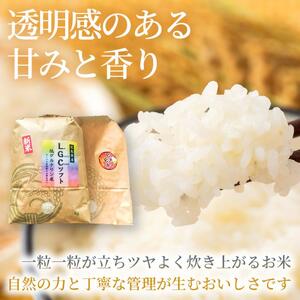 LGCソフト 低グルテリン米 10kg 米 お米 コメ ご飯 ごはん 白米 低たんぱく タンパク質 健康 238002